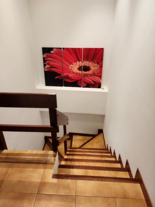 Duplex Rua Sol - Netflix Apartment Laxe Exterior foto